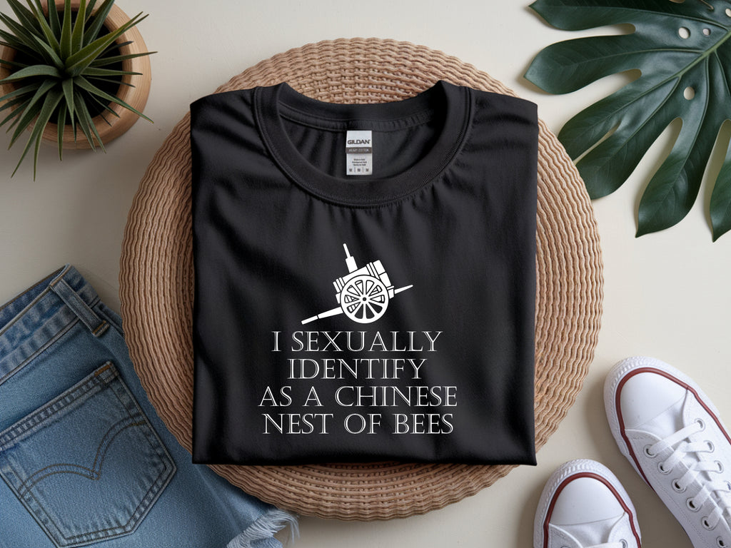 Funny Age of Empires 4 Shirt – Chinese Nest of Bees Meme T-Shirt Gift for AoE4 Players