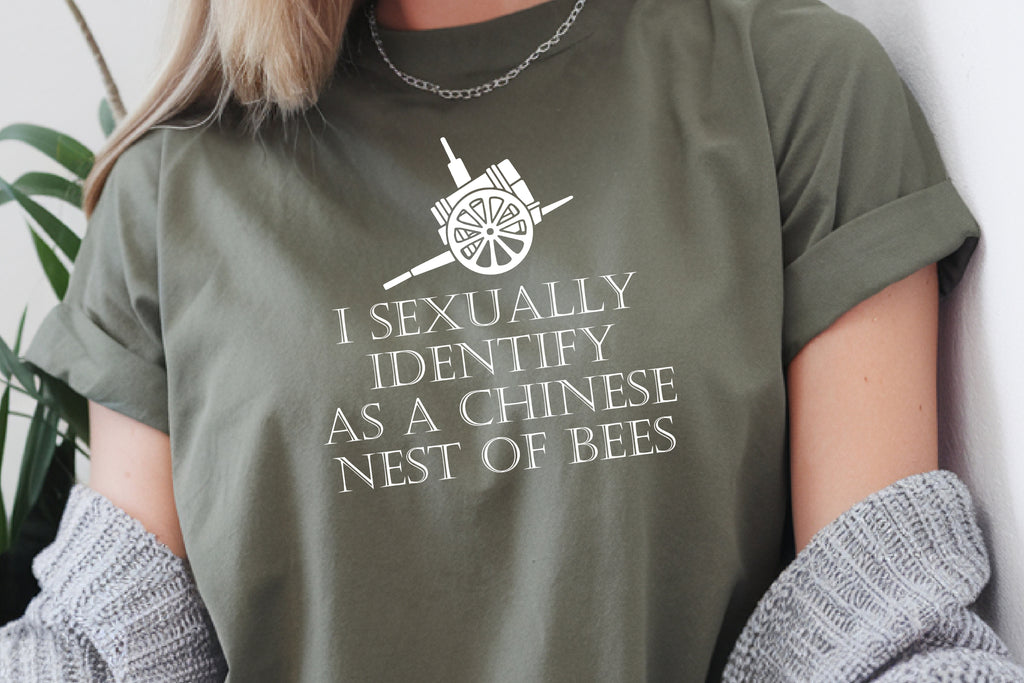 Funny Age of Empires 4 Shirt – Chinese Nest of Bees Meme T-Shirt Gift for AoE4 Players
